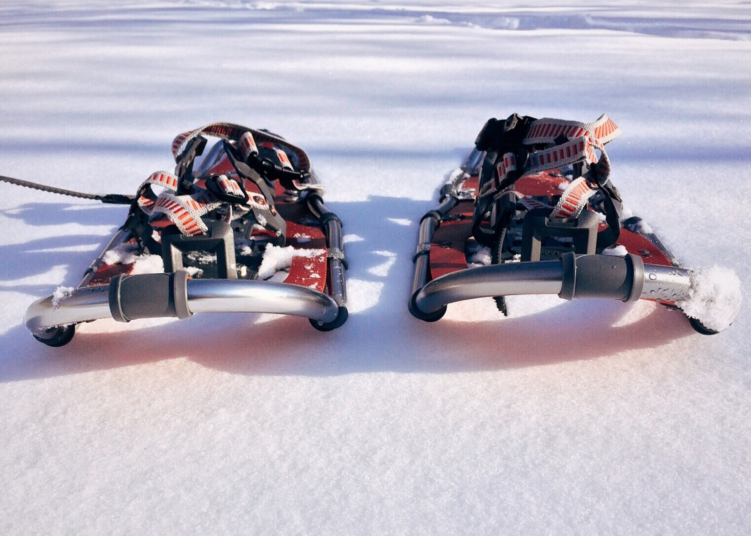 snowshoe-1983135_1920